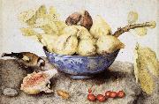 Giovanna Garzoni Chinese Cup with Figs,Cherries and Goldfinch Sweden oil painting artist